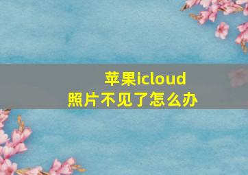 苹果icloud照片不见了怎么办