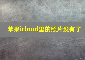 苹果icloud里的照片没有了