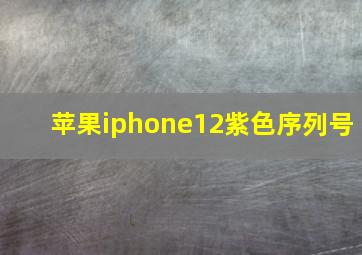 苹果iphone12紫色序列号