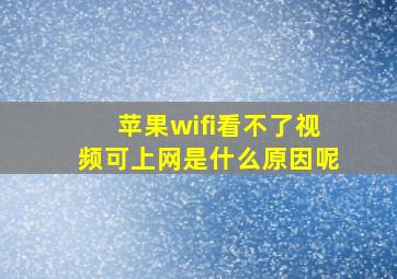 苹果wifi看不了视频可上网是什么原因呢