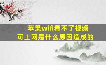 苹果wifi看不了视频可上网是什么原因造成的