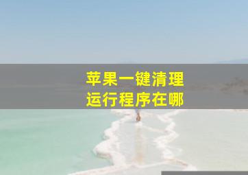 苹果一键清理运行程序在哪