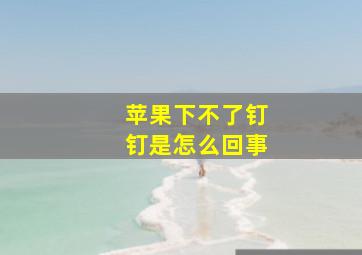 苹果下不了钉钉是怎么回事