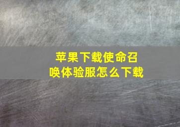 苹果下载使命召唤体验服怎么下载