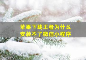 苹果下载王者为什么安装不了微信小程序