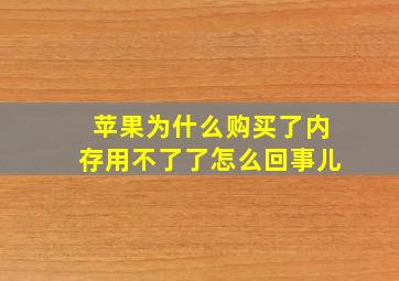 苹果为什么购买了内存用不了了怎么回事儿