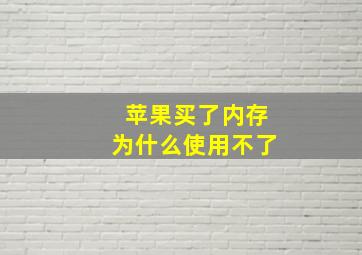 苹果买了内存为什么使用不了