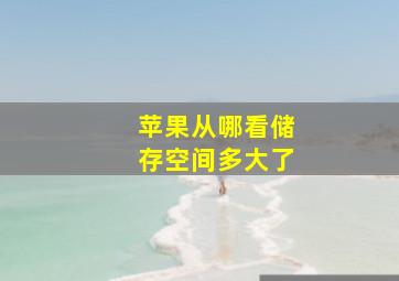 苹果从哪看储存空间多大了