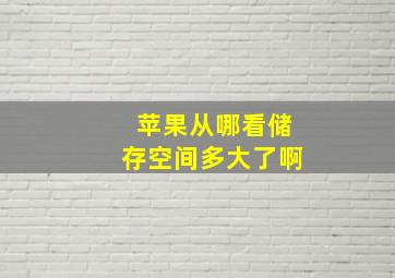 苹果从哪看储存空间多大了啊