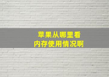 苹果从哪里看内存使用情况啊