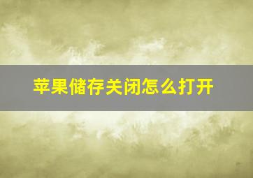 苹果储存关闭怎么打开