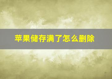 苹果储存满了怎么删除