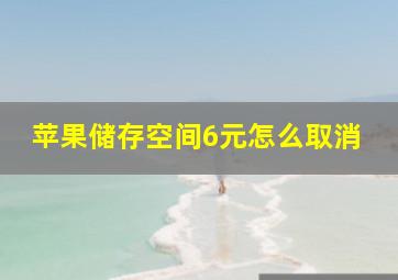 苹果储存空间6元怎么取消