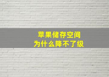 苹果储存空间为什么降不了级