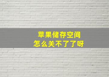 苹果储存空间怎么关不了了呀