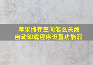 苹果储存空间怎么关闭自动卸载程序设置功能呢