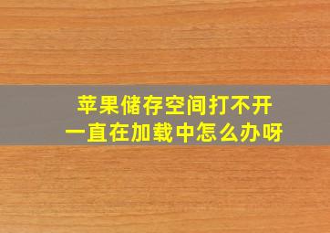 苹果储存空间打不开一直在加载中怎么办呀