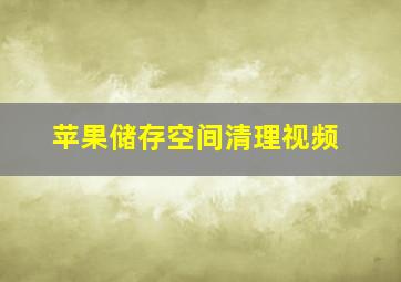 苹果储存空间清理视频