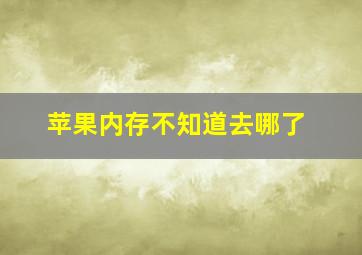 苹果内存不知道去哪了