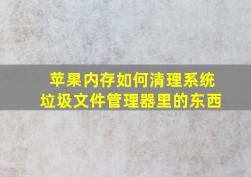 苹果内存如何清理系统垃圾文件管理器里的东西