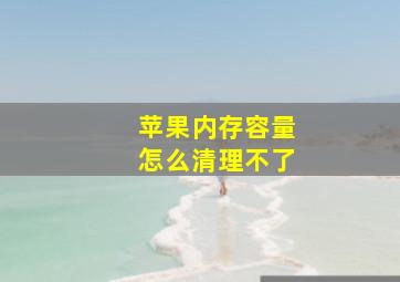 苹果内存容量怎么清理不了