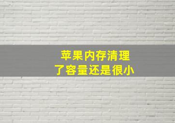 苹果内存清理了容量还是很小