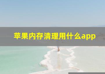 苹果内存清理用什么app