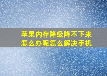 苹果内存降级降不下来怎么办呢怎么解决手机