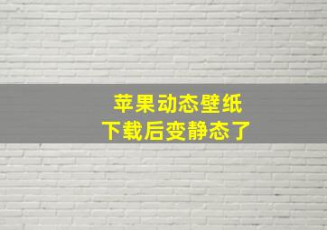 苹果动态壁纸下载后变静态了