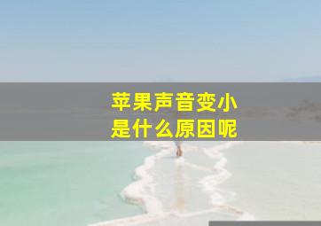 苹果声音变小是什么原因呢