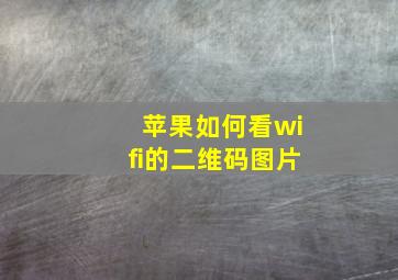 苹果如何看wifi的二维码图片