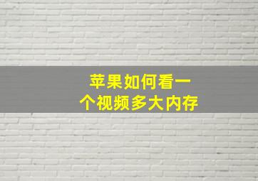 苹果如何看一个视频多大内存