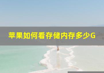 苹果如何看存储内存多少G