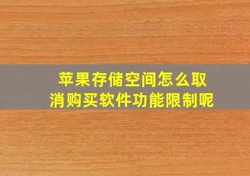 苹果存储空间怎么取消购买软件功能限制呢