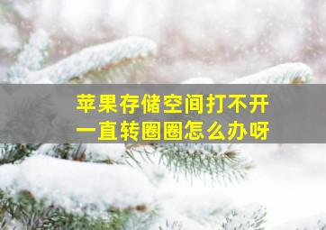 苹果存储空间打不开一直转圈圈怎么办呀