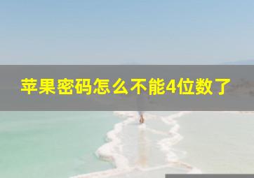 苹果密码怎么不能4位数了