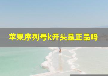 苹果序列号k开头是正品吗