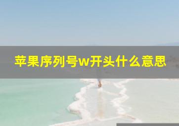 苹果序列号w开头什么意思