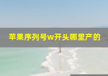 苹果序列号w开头哪里产的