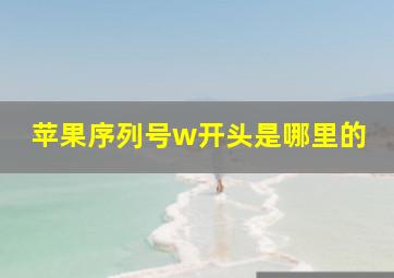 苹果序列号w开头是哪里的