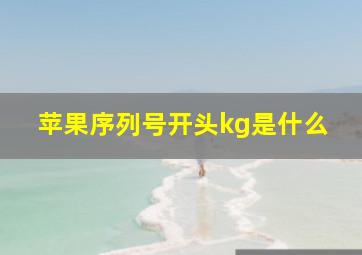 苹果序列号开头kg是什么