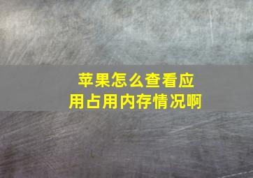 苹果怎么查看应用占用内存情况啊