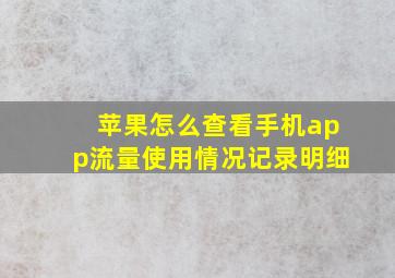 苹果怎么查看手机app流量使用情况记录明细