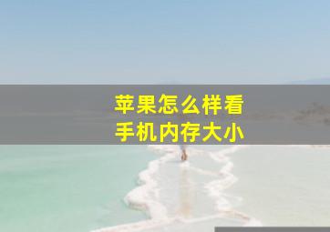 苹果怎么样看手机内存大小