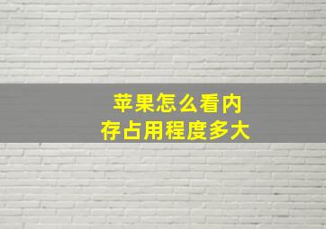 苹果怎么看内存占用程度多大