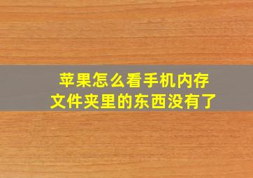 苹果怎么看手机内存文件夹里的东西没有了