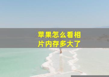 苹果怎么看相片内存多大了