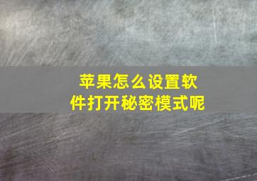 苹果怎么设置软件打开秘密模式呢