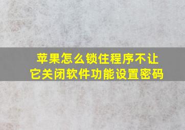 苹果怎么锁住程序不让它关闭软件功能设置密码