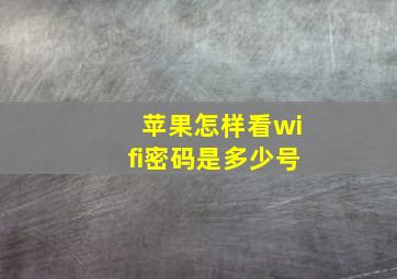 苹果怎样看wifi密码是多少号